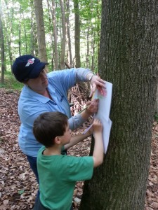 Auf ging es in den Breinumer Wald. In der „Elfenkuhle“ angekommen... wurde abgemalt, gespielt, getobt und…